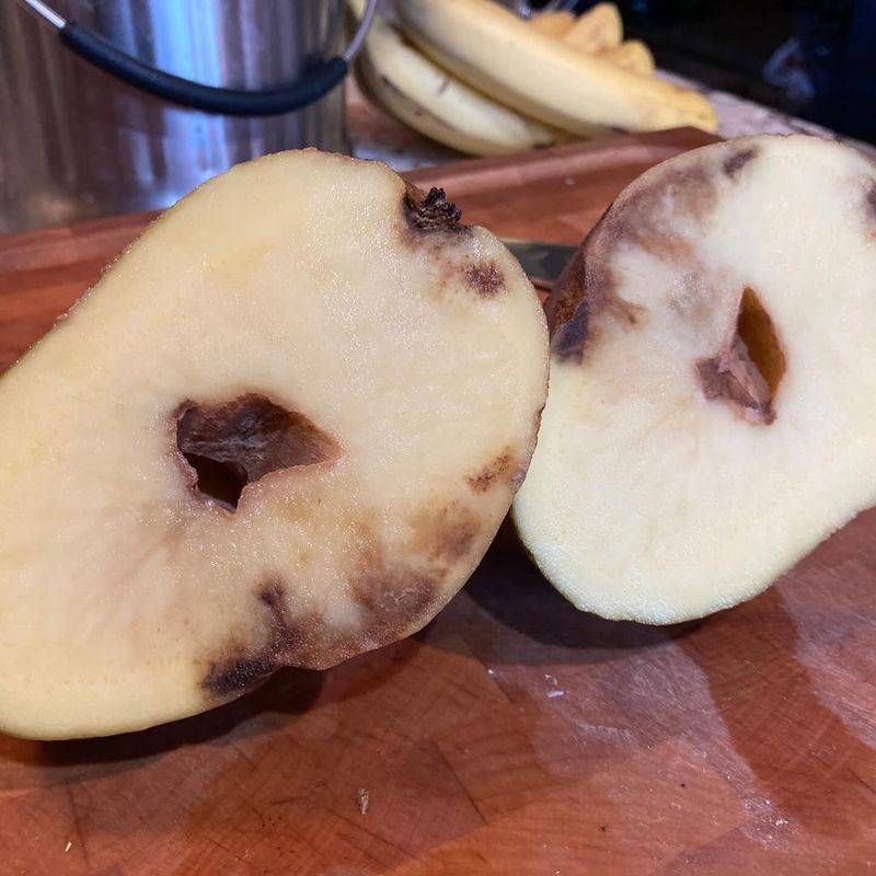 Using Diseased Seed Potatoes