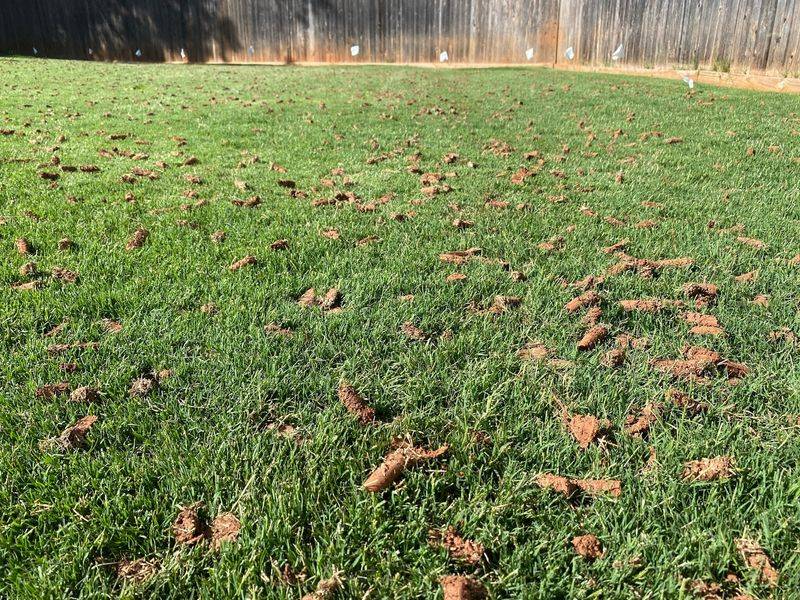 Skipping Aeration