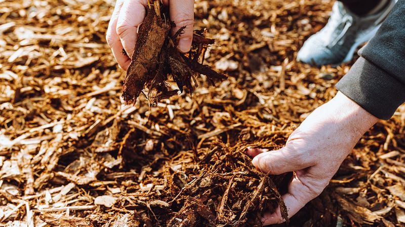 Using Mulch as a Permanent Solution