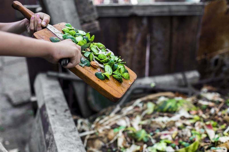 Using too much organic fertilizer