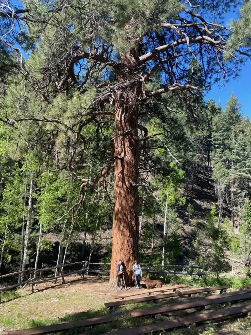 Utah's Desert Sentinel