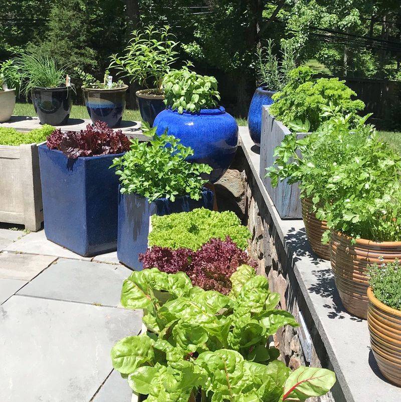 Vegetable Planters