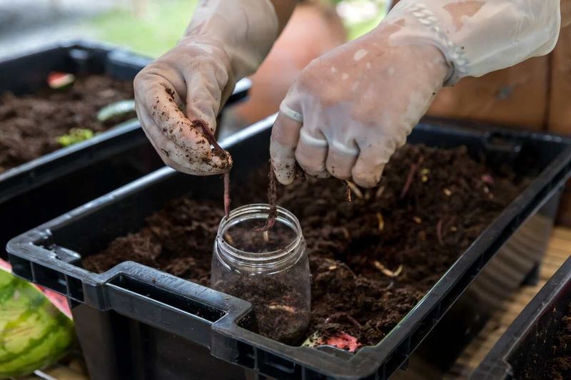 Vermicomposting