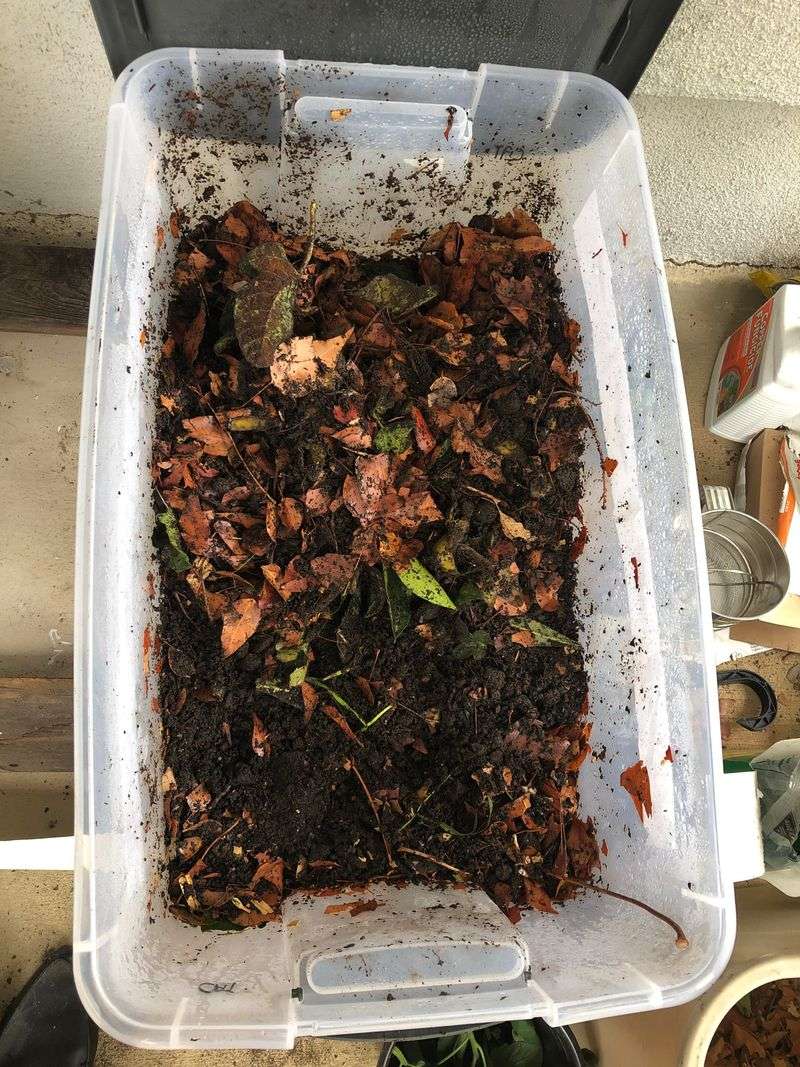 Vermicomposting