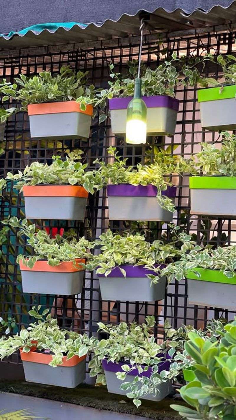 Vertical Garden