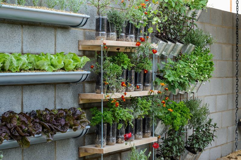 Vertical Gardening