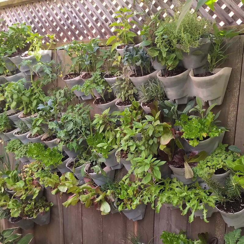 Vertical Herb Garden