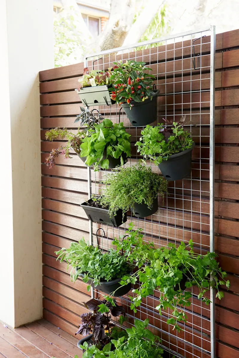 Vertical Herb Walls