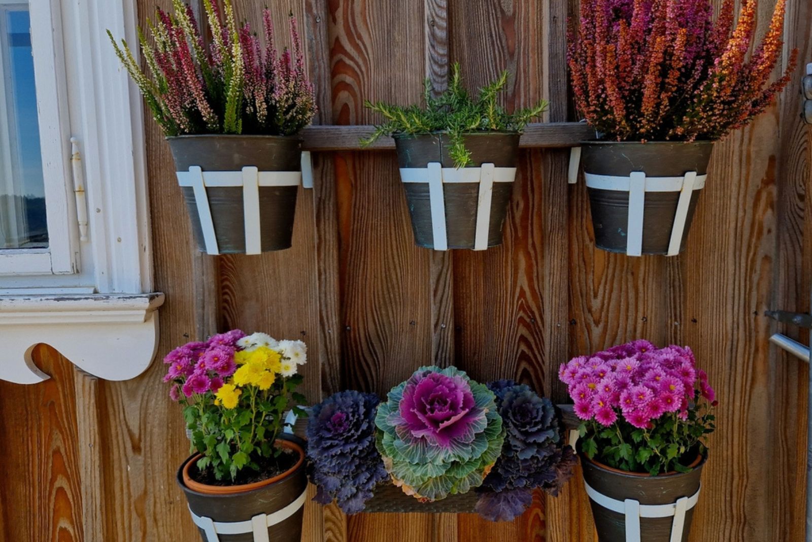 Vertical Wall Planters