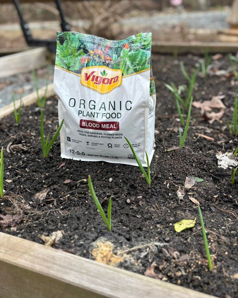 Vigoro Tomato and Vegetable Garden Plant Food