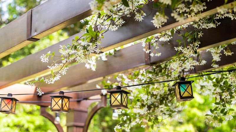 Vine-Covered Trellis