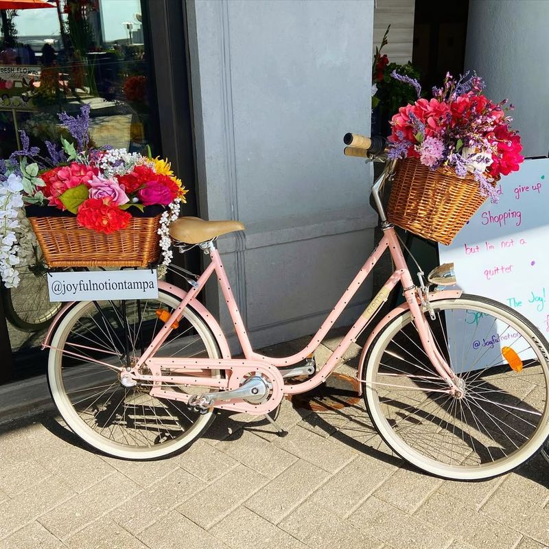 Vintage Bicycle with Baskets