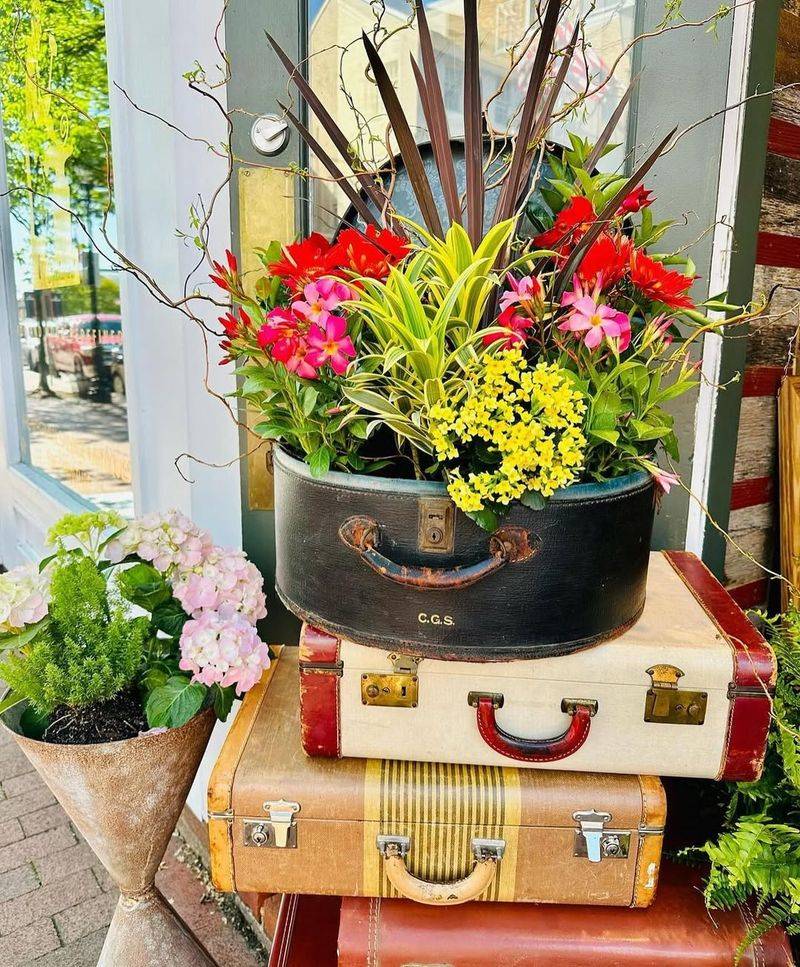 Vintage Suitcase Planter