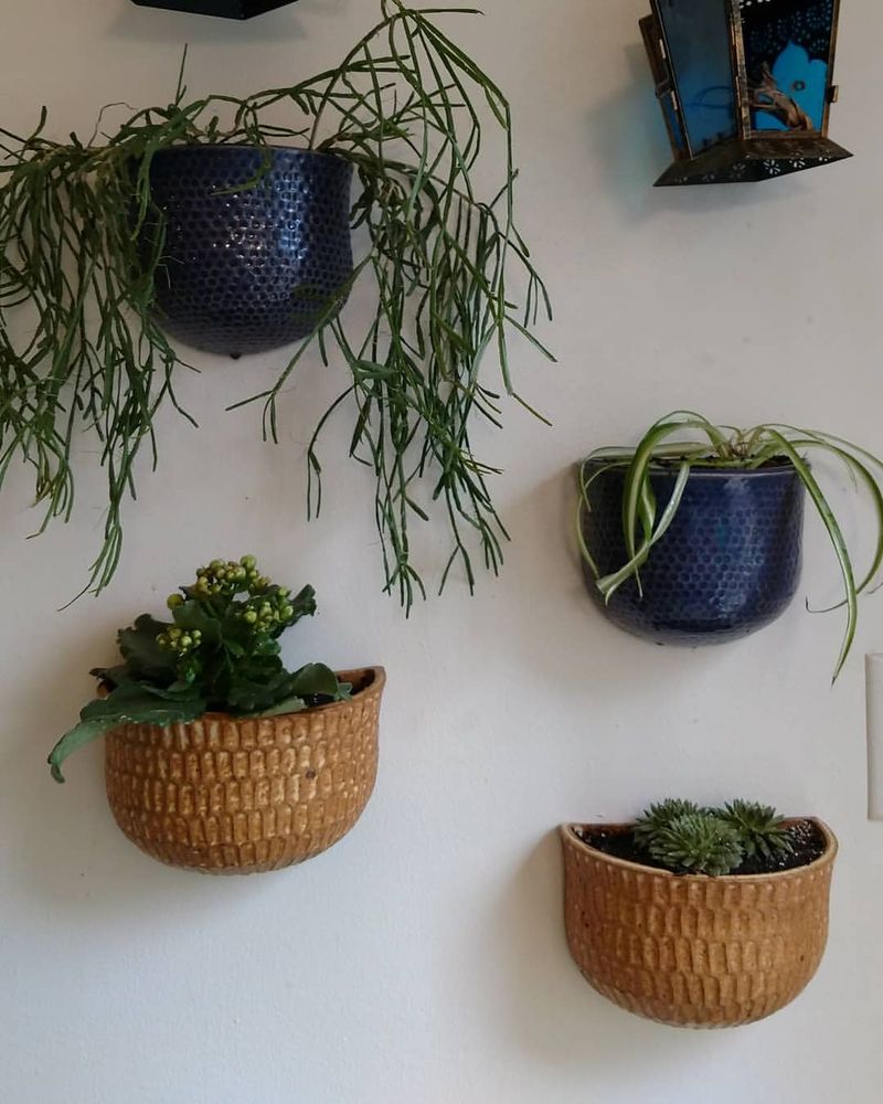 Wall-Mounted Ceramic Pots