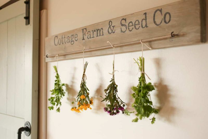 Wall-Mounted Herb Dryers