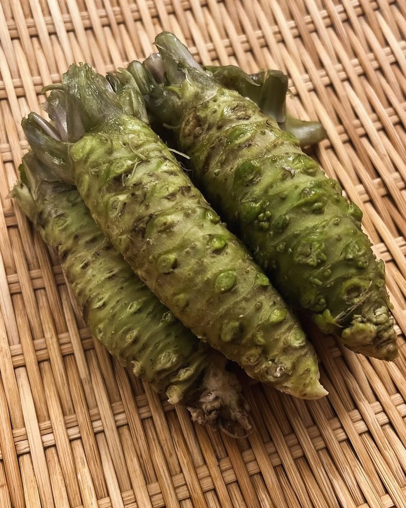 Wasabi Root