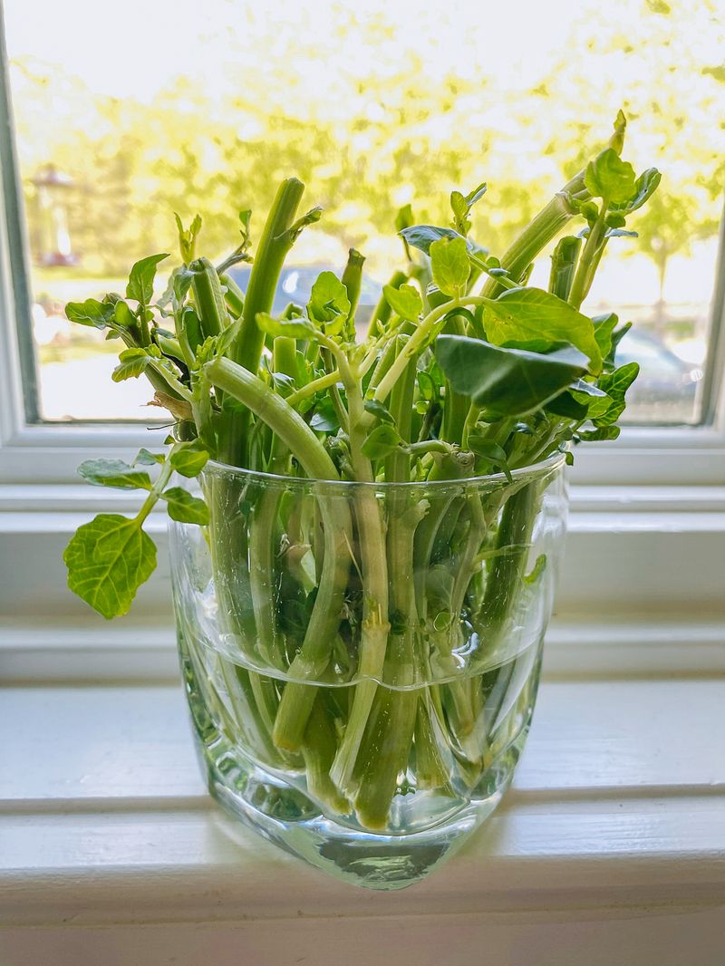 Watercress