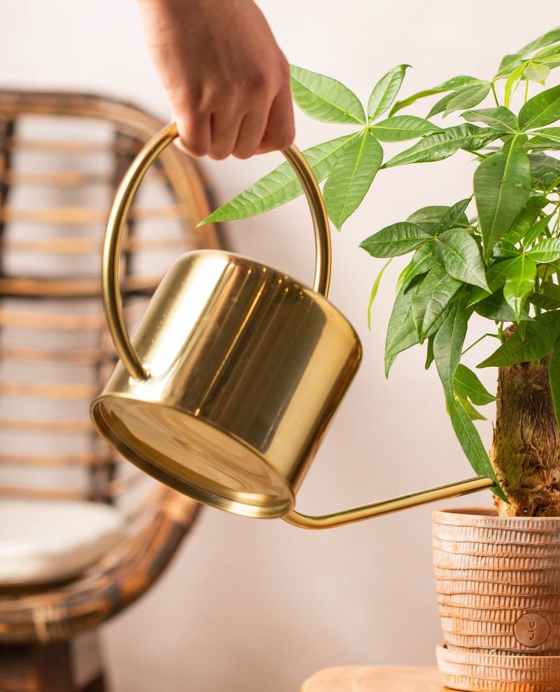 Watering Can with Fine Rose