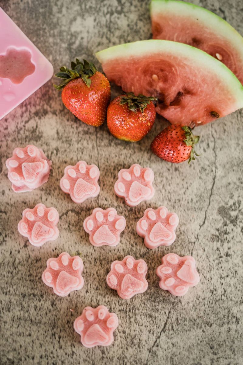 Watermelon Rind Pet Treats