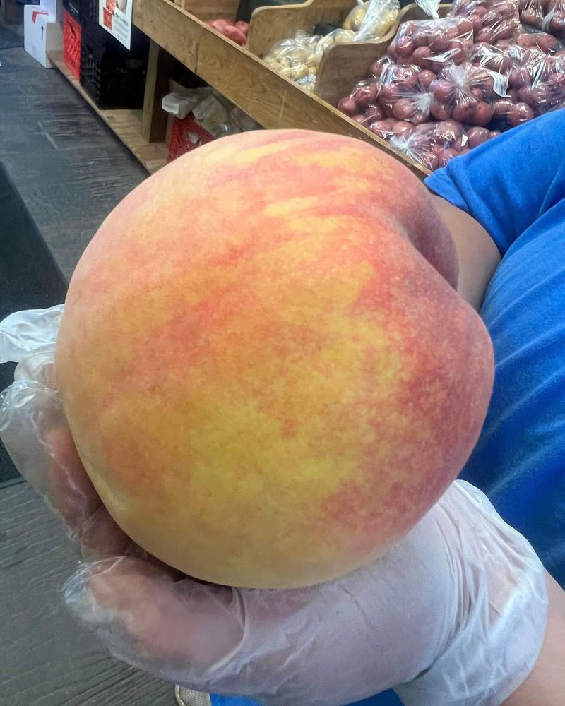 West Virginia - Large Peach