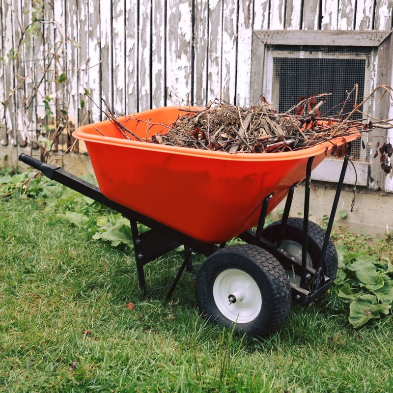 Wheelbarrow with Dual Tires