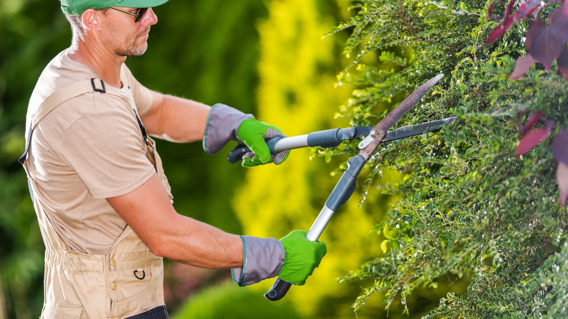 When Is The Perfect Time To Prune Bushes And Shrubs (And How To Do It Right)