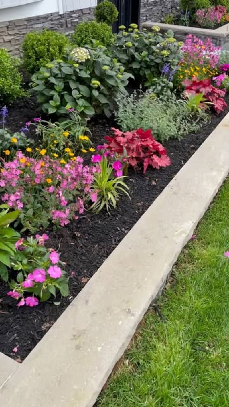 Flower Bed Borders