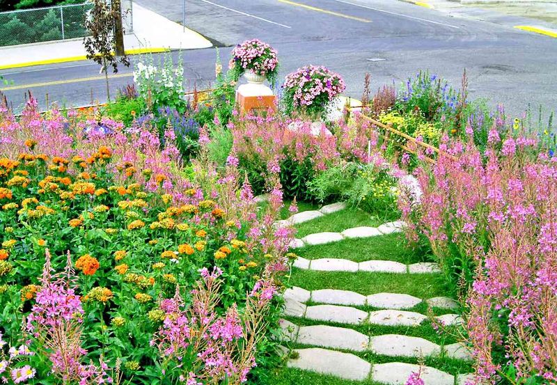 Wildflower Hillside