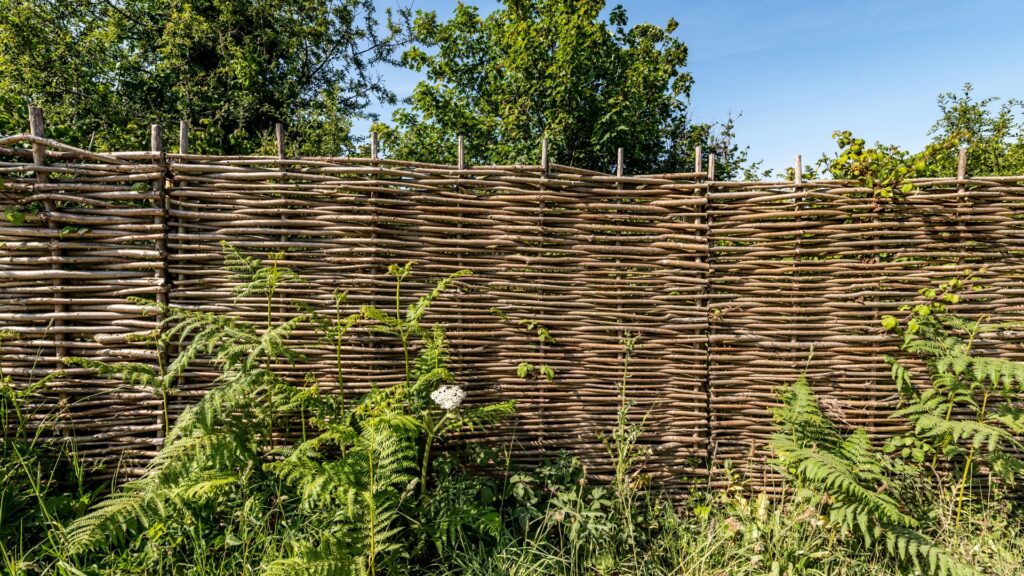 willow fence