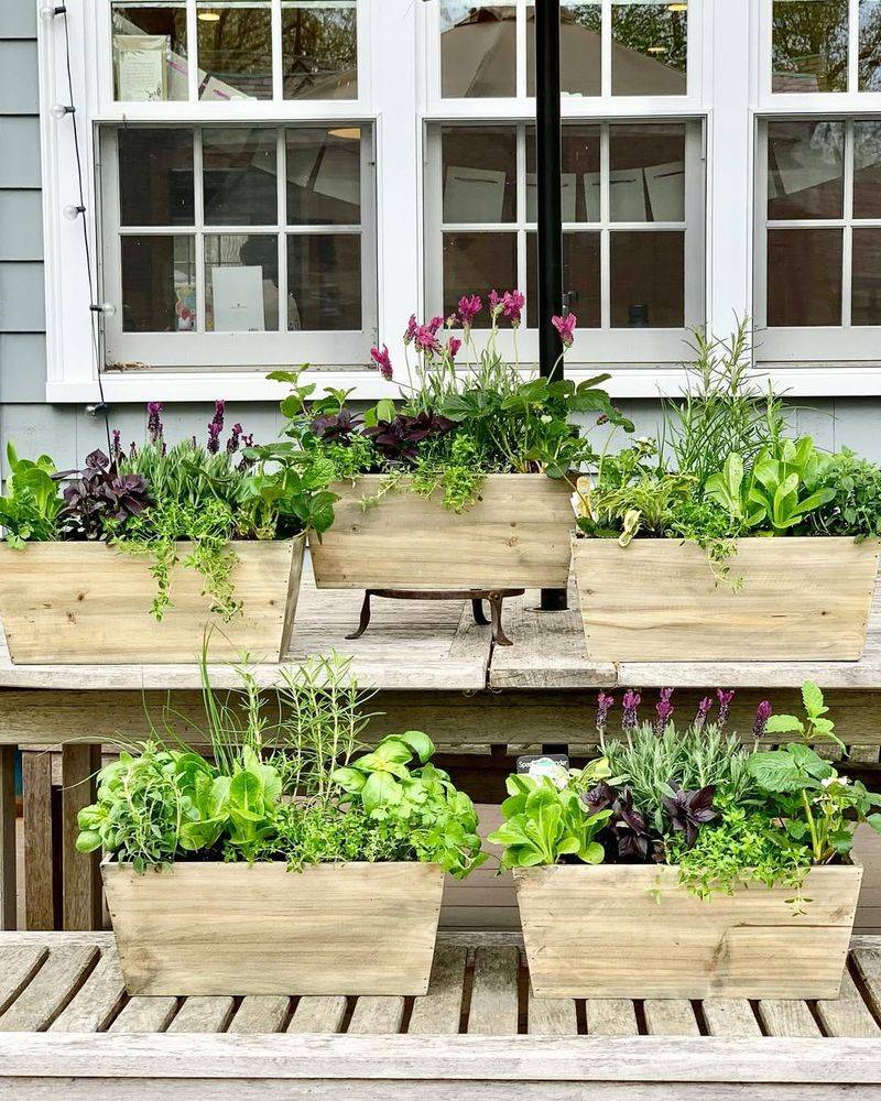 Window Box Herb Garden