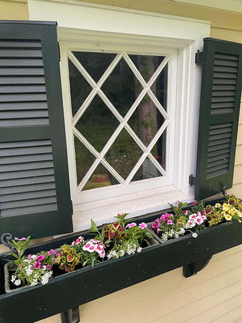 Window Box Wonders