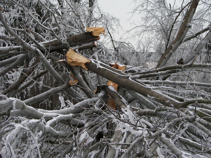 Winter Ice Damage