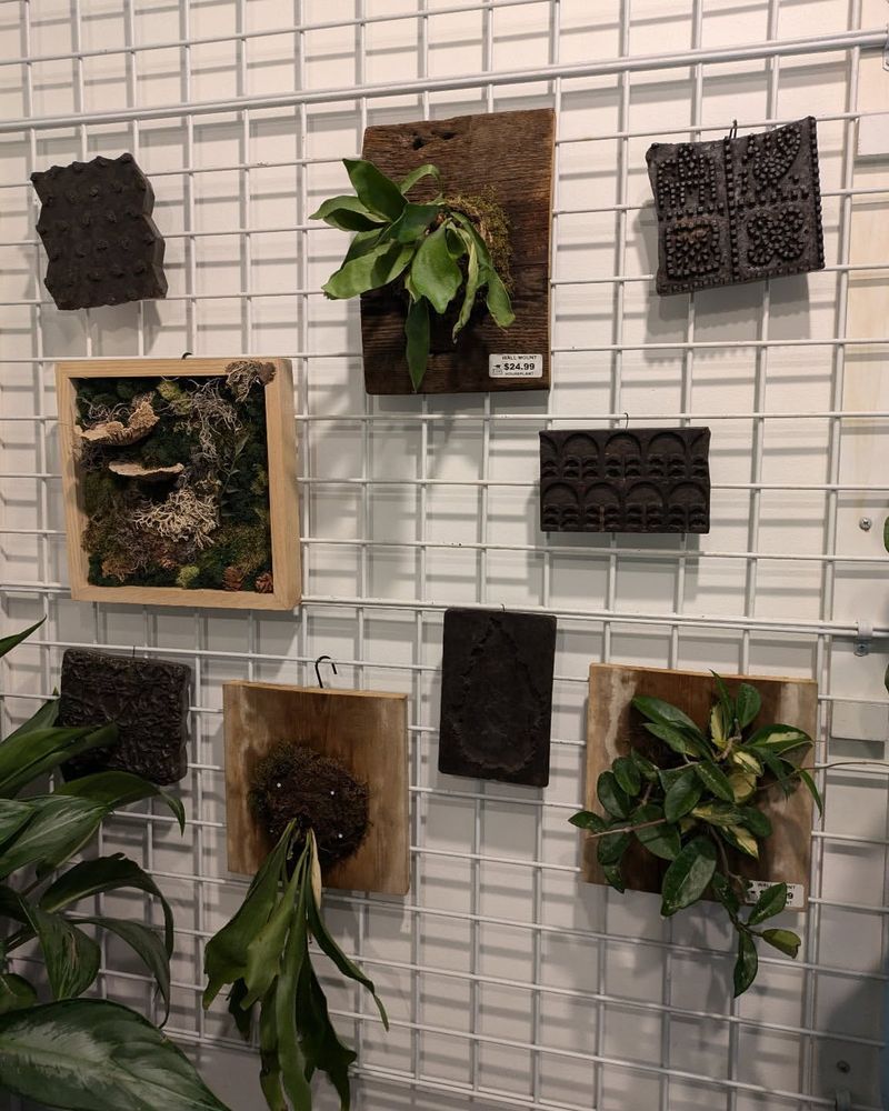 Wire Grid Plant Display