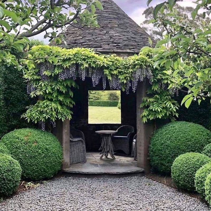 Wisteria & Boxwood