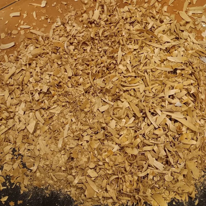 Wood Shavings