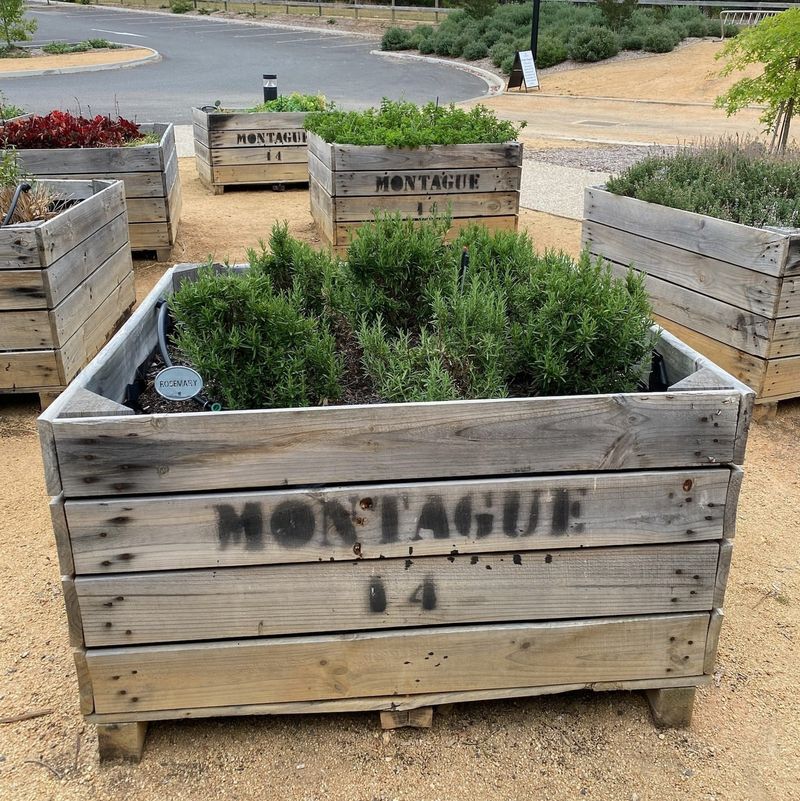 Wooden Crate Herb Planters