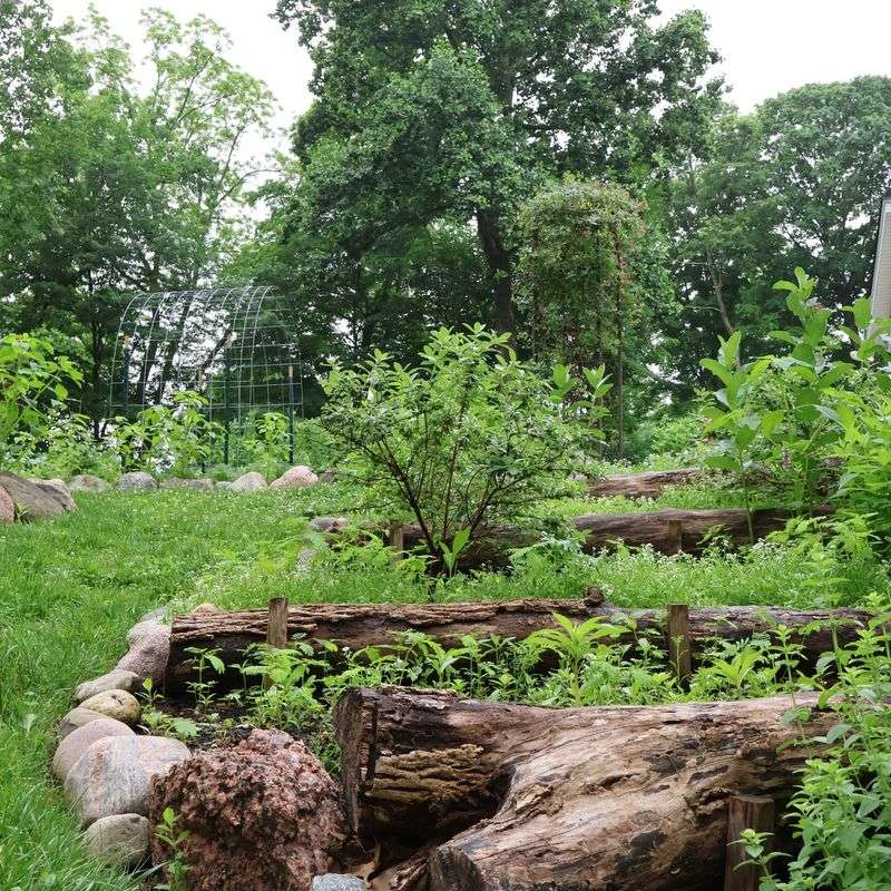 Wooden Log Borders