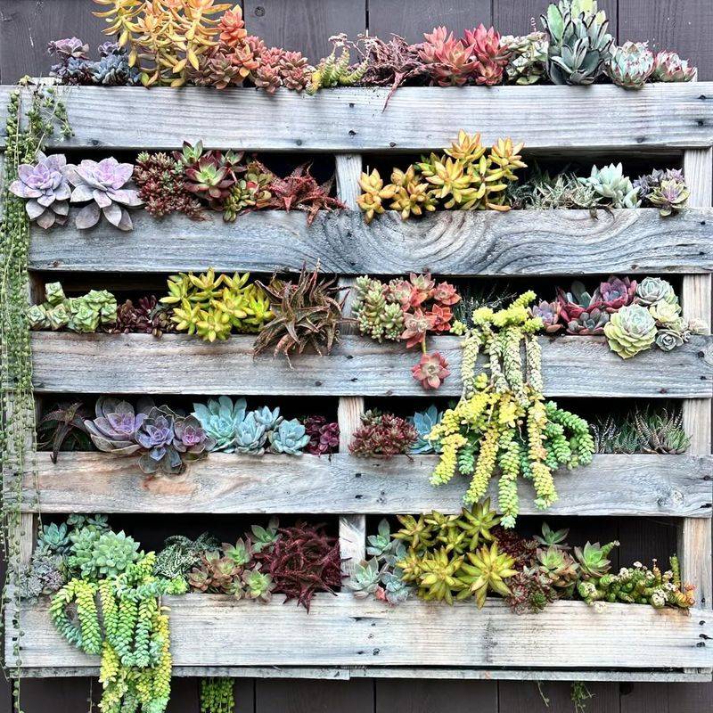 Wooden Pallet Planter