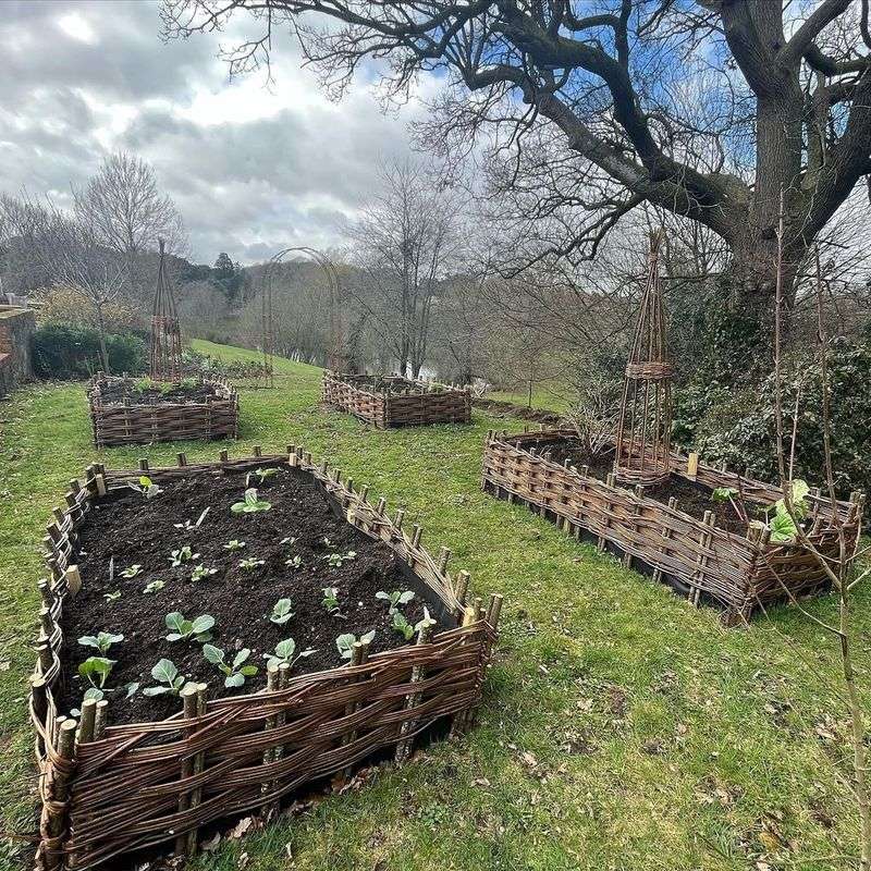 Woven Willow Bed