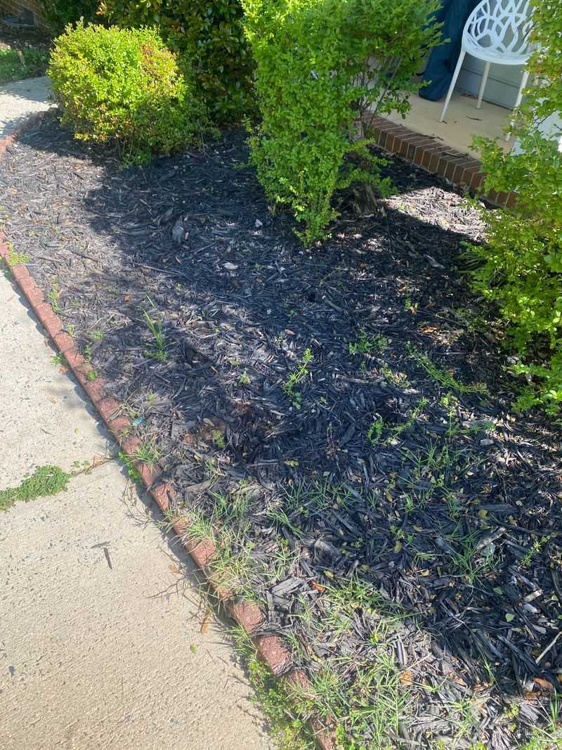 Wrong Mulch Material Misstep