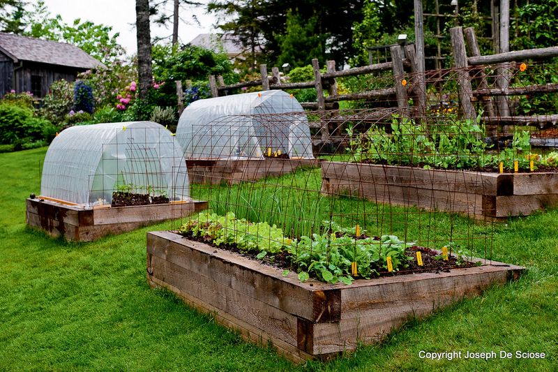 Year-Round Gardening