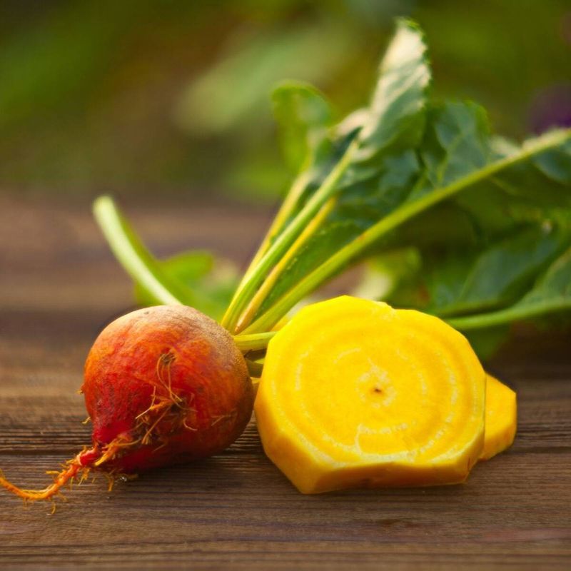 Yellow Beetroot