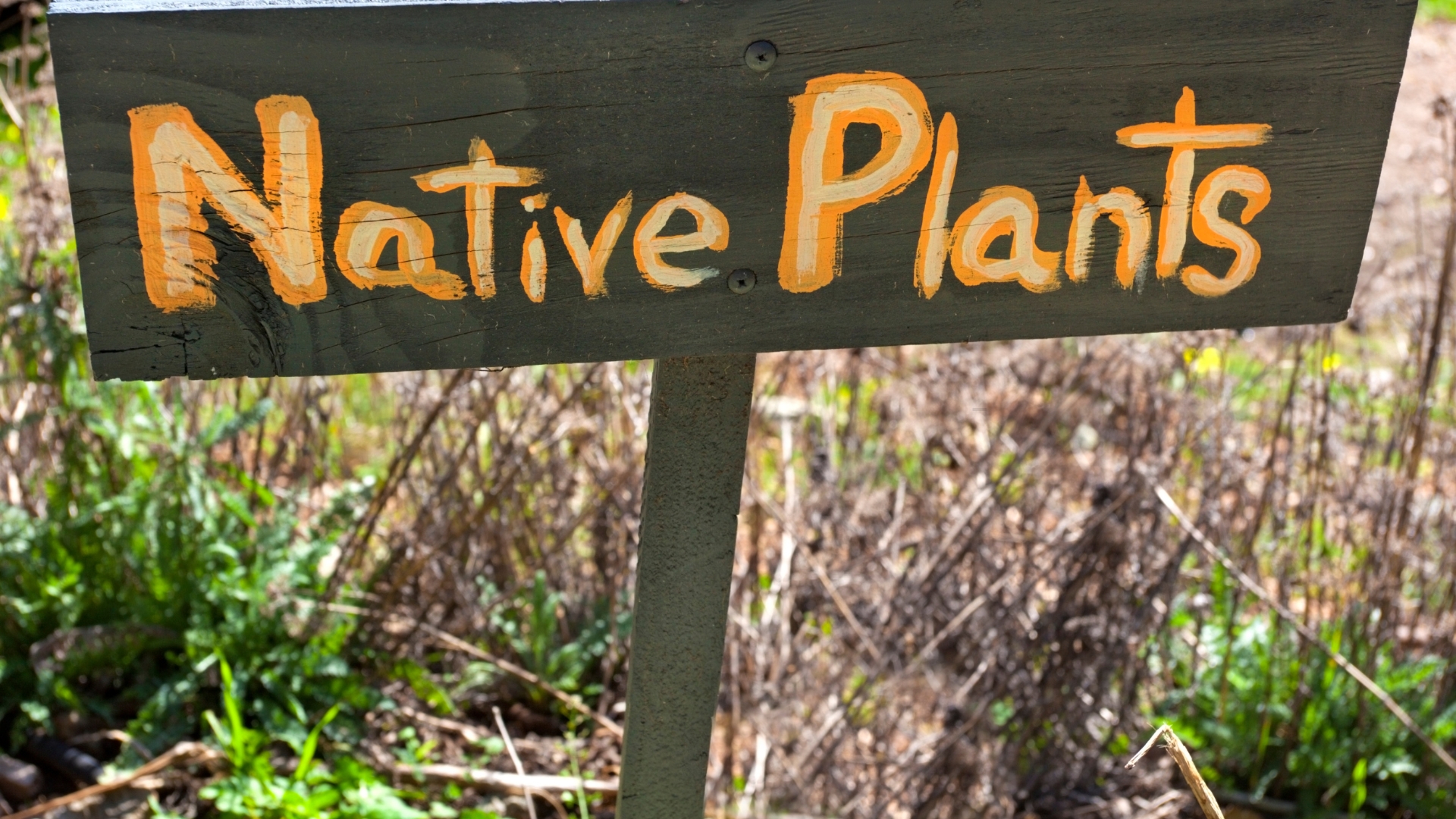 a sign with native plants inscribed