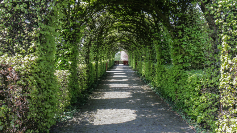 Unique Garden Path Ideas Using Reclaimed Materials