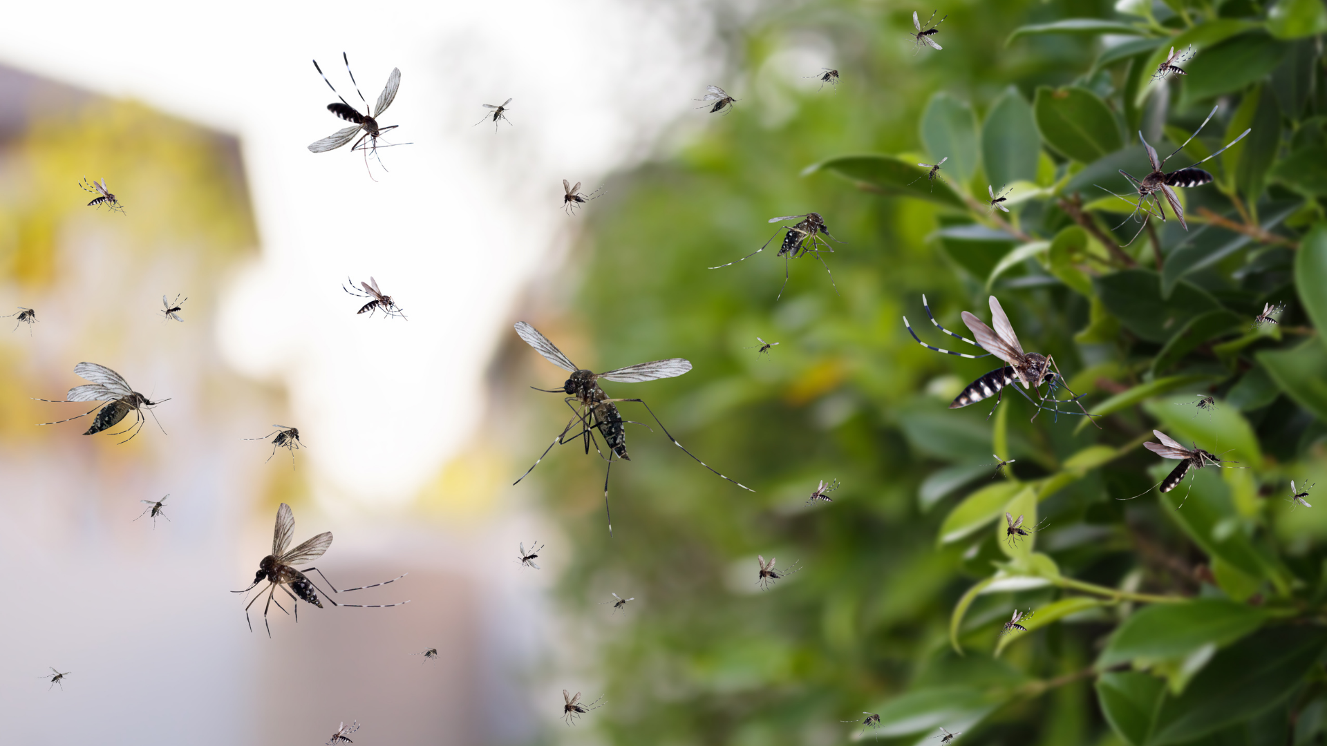 These 32 Outdoor Plants Will Keep Unwanted Bugs From Eating Your Garden