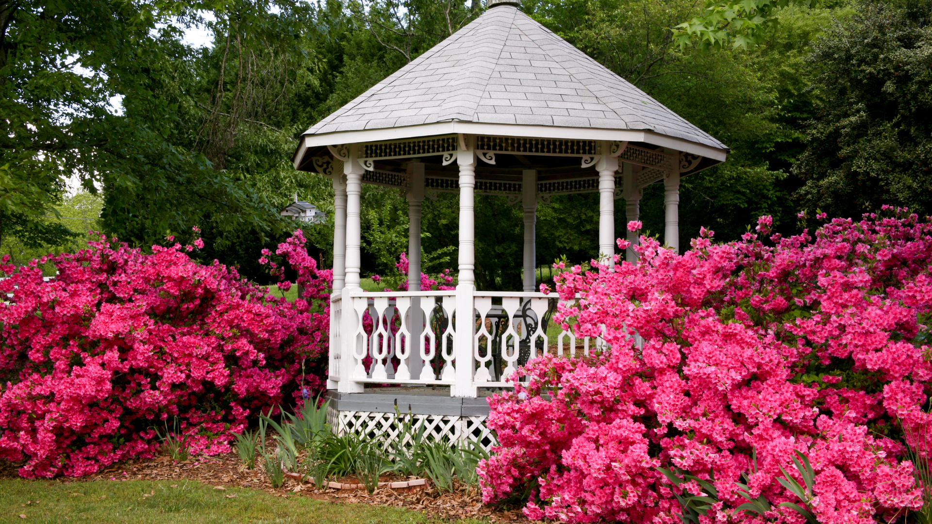 25 Gazebo Ideas For The Prettiest Backyard Of All Time