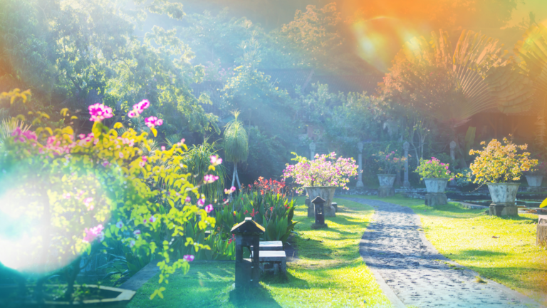 20 Ways How To Design And Grow A Cutting Garden