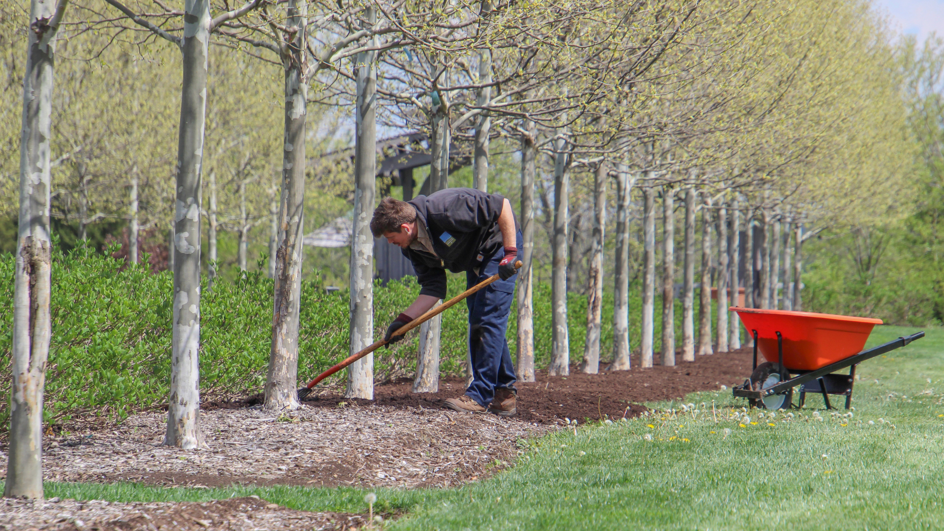 The Best 20 Mulching Methods To Improve Soil Over Time