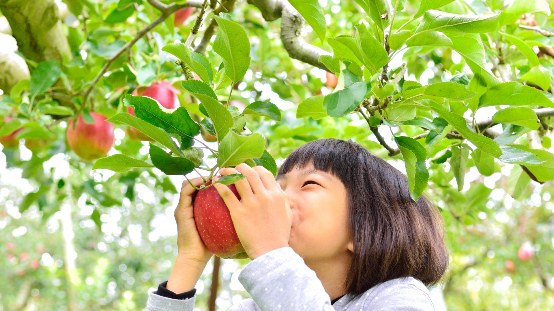 20 Ways How To Choose The Perfect Fruit Tree For Your Yard