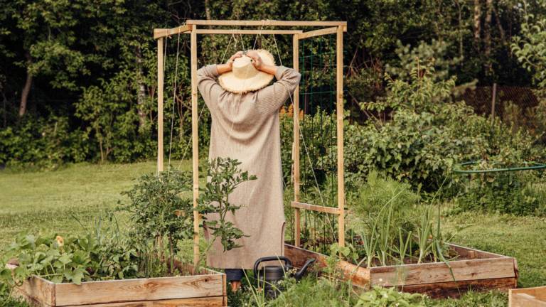 28 Facts Everyone Should Know About Avoiding Common Gardening Mistakes